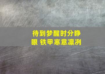 待到梦醒时分睁眼 铁甲寒意凛冽